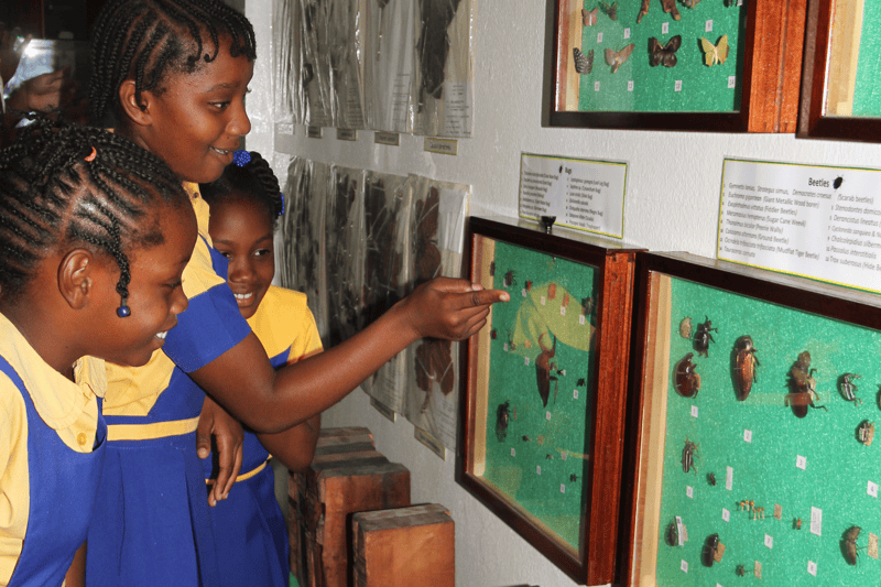 Students of the Moores Primary School fascinated by  our insect box in our 2019 Earth Day Exhibition.
