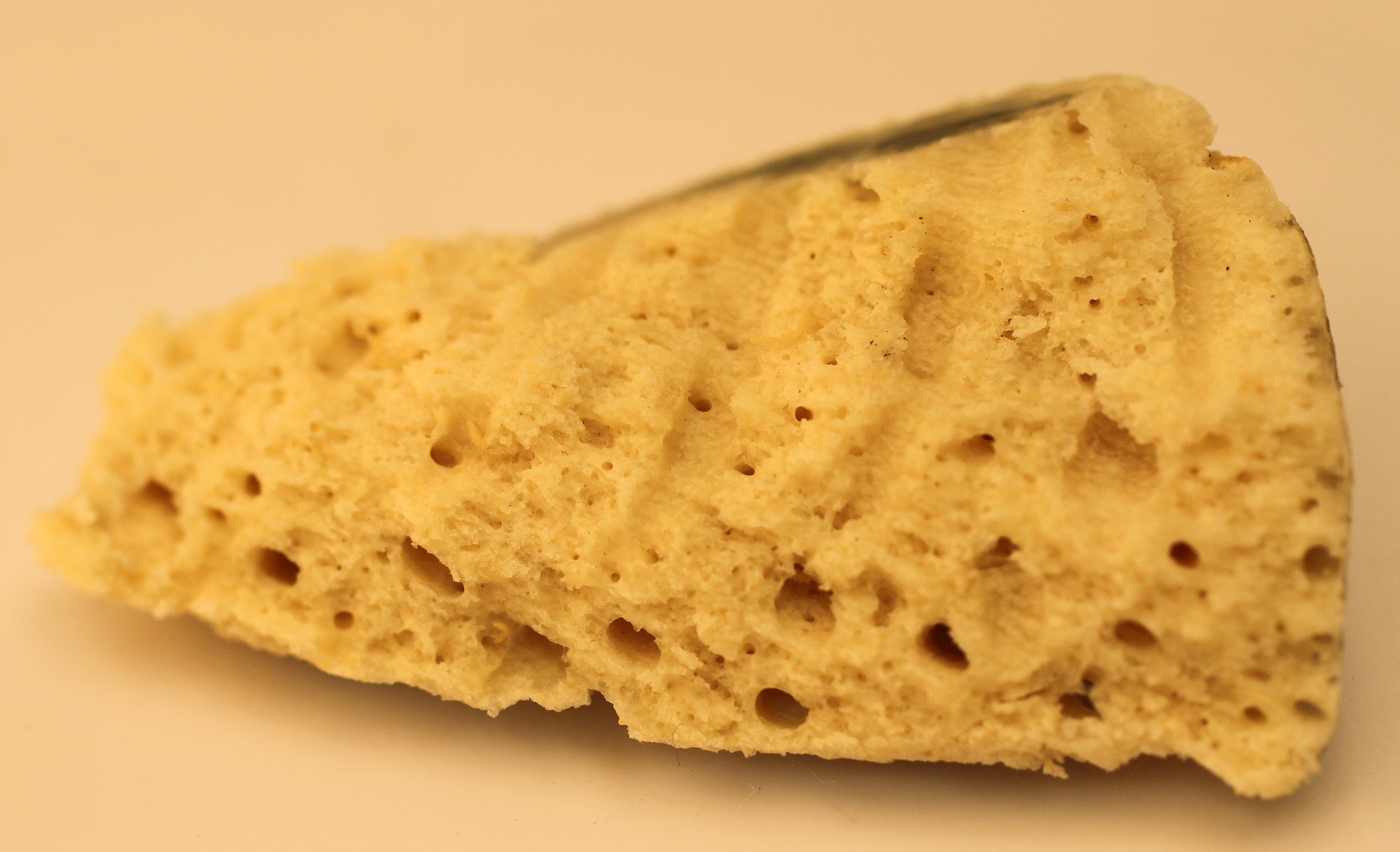 sponge